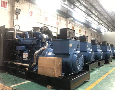 国内某养殖项目指定批量采用33474蒙特卡罗500KW/400V陆用发电机