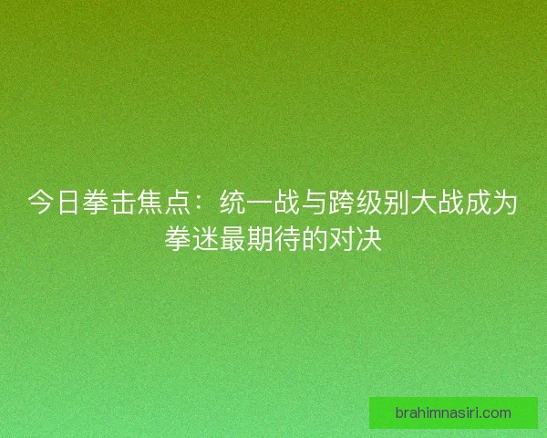 今日拳击焦点：统一战与跨级别大战成为拳迷最期待的对决