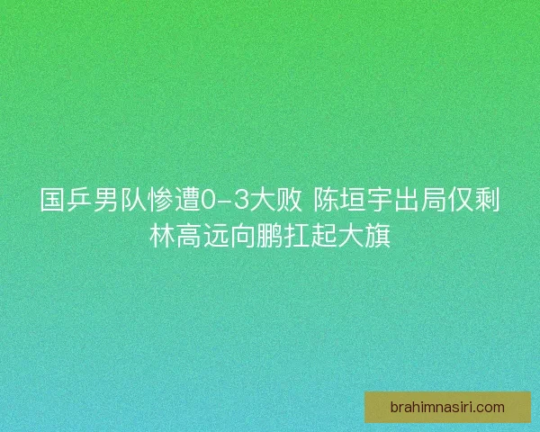 国乒男队惨遭0-3大败 陈垣宇出局仅剩林高远向鹏扛起大旗