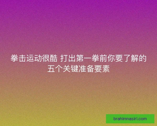 拳击运动很酷 打出第一拳前你要了解的五个关键准备要素