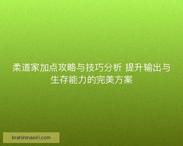 柔道家加点攻略与技巧分析 提升输出与生存能力的完美方案